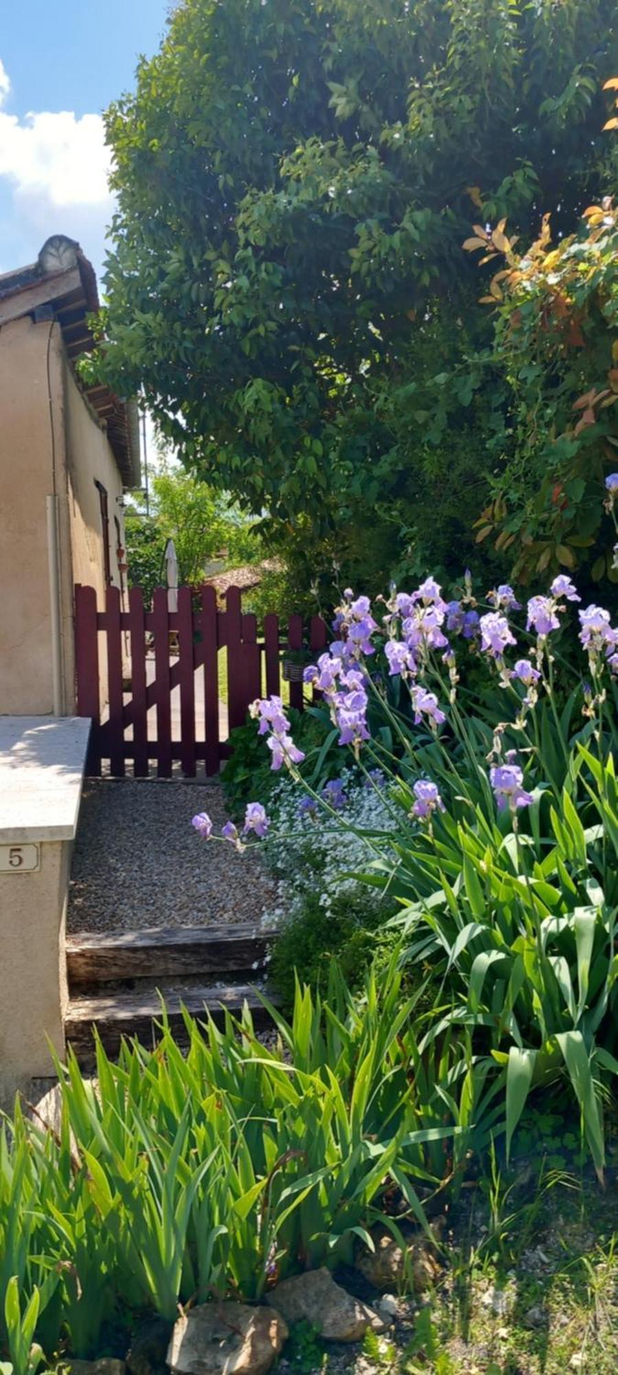 La Maison Du Tourniquet Aubeterre-sur-Dronne Exterior photo
